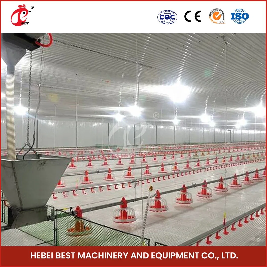 Bestchickencage Broiler Deep Litter System Custom China Feedstuffs Uniform Distribution Poultry Farm Equipment Broiler Deep Litter System Manufacturer