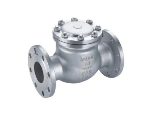 Water Treatment/Chemical Industry SS316 ANSI Flange Type Swing Check Valve