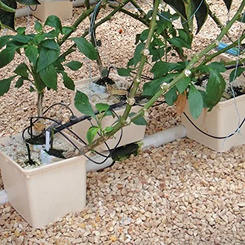 Riego por goteo riego automático Agricultura Hidropónico de invernadero cultivo de cubos holandeses Sistema