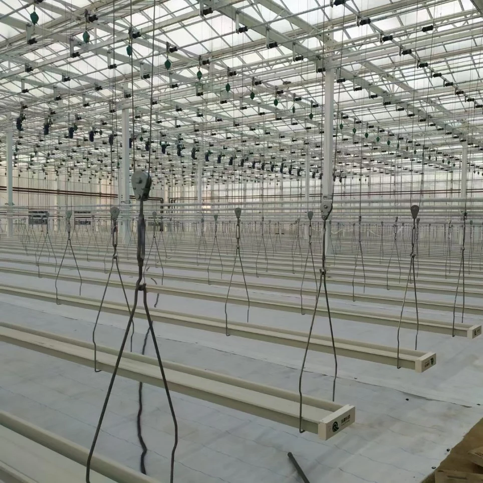 نظام قنوات Hydroponic للبيع الساخن في Greenhouse and Farm Nft القنوات