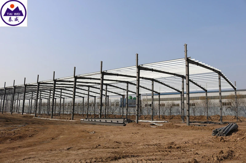 Prefabricated Large Steel Structure Metal Frame Industrial Commercial Building (TW604J)