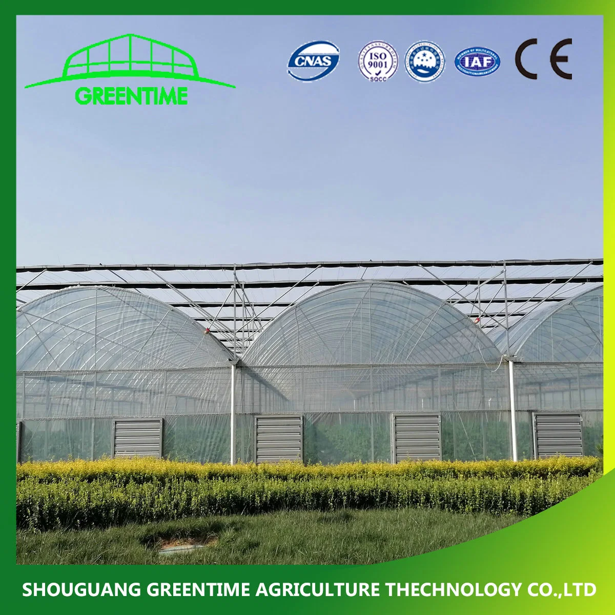 Hot Sale Arch Type PE/Po Film Agricultural Greenhouse for Tomato/ Pepper Planting