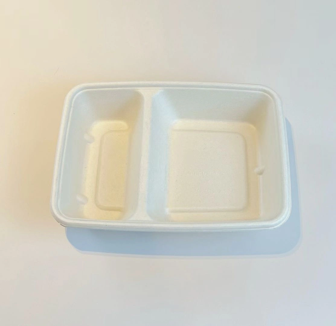 100% Biodegradable Compostable Disposable Bagasse Sugarcane Bamboo Pulp Takeaway Lunch Tray Salad Box