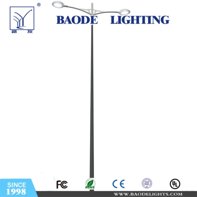 Baode ISO/CE Certificated Speed Road Camera Poles (DG-12)