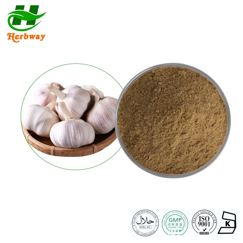 Herbway Kosher Halal Fssc HACCP Certified Free Sample Allicin Powder Garlic Extract