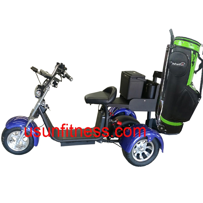 Promotion Hot Sale Luxury 2 Seater Electric Club Car Golf Carts Scooter Made in China 3 Fat Tires Electric Golf Scooter Electric Golf Car for Golf Club