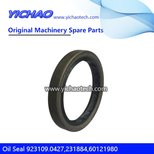 Genuine 923109.0427 Oil Seal 231884/60121980 for Kalmar Dcd200-300 Container Reach Stacker Parts