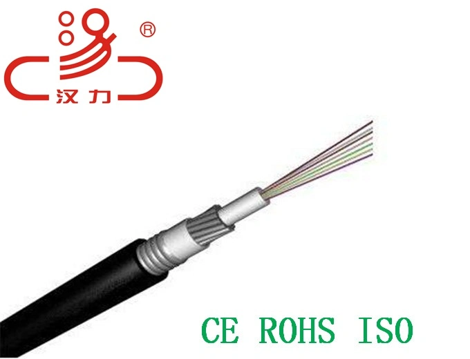 Gytw, GYTA, GYTS 2- 48core Optical Fiber Cable