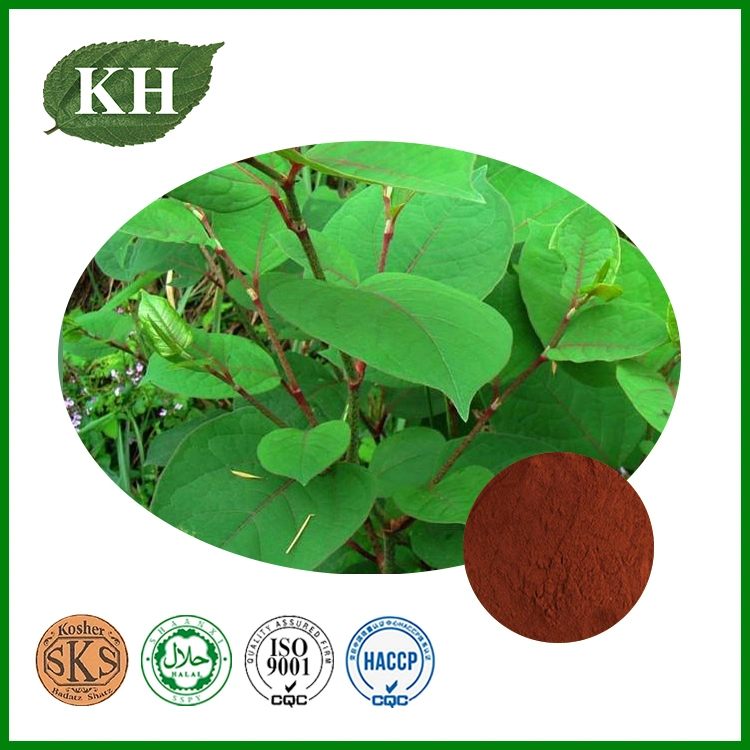 Natural Yohimbe Bark Extract Yohimbine HCl 98%, Yohimbine 8%