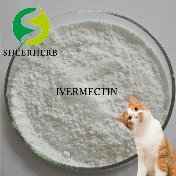 سعر الجملة Ivermectin Powder شراء Ivermectine على الانترنت CAS 70288-86-7 الصين المورد