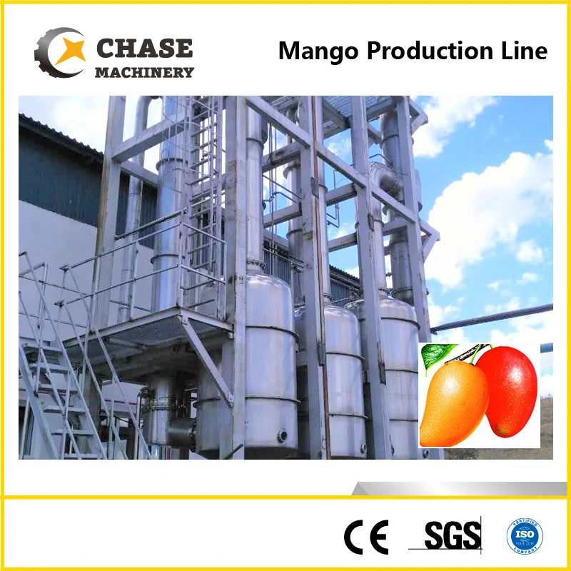 Pet/Glass Bottle Orange/Mango Juice Production Line From Shanghai Chase