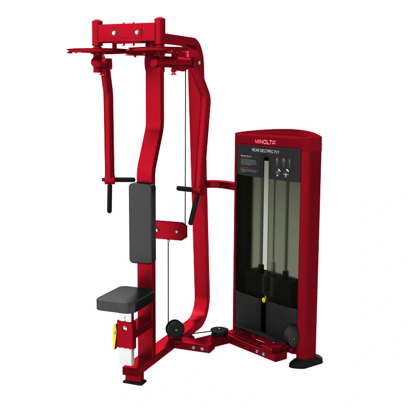 Best Quality Fitness Body Building Gym Exercise Training Machine Pearl Delr Pec Fly Equipment