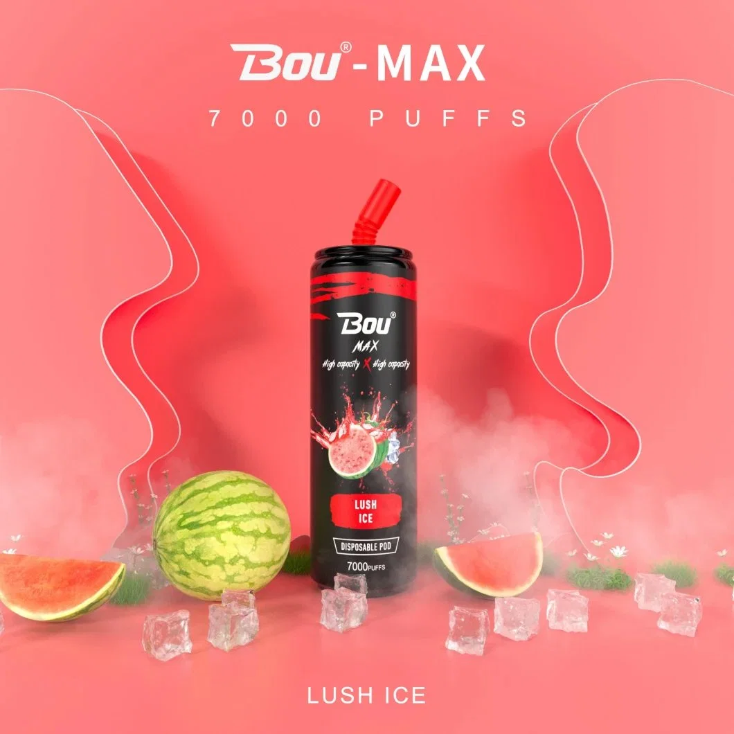 Bou Max 7000 Puffs Vape Mesh Coil Fabrik Preis E Zigarette