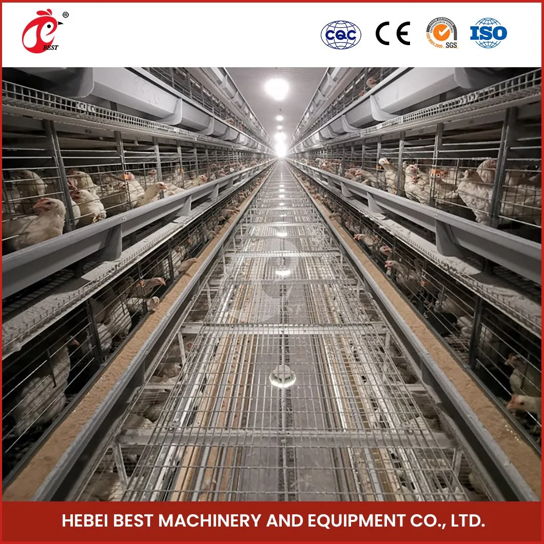 Bestchickencage H Type Breeder Cage Layer Cage China Small Chicken Layer Coops Manufacturer High-Quality Vacuum Siphon Principle Chicken Layer Nest