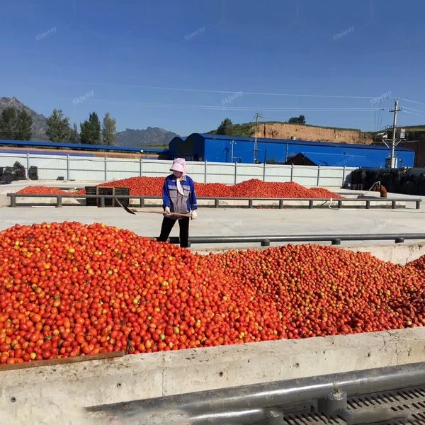 Tomato Paste Production Line Machines/Tomato Puree Jam Paste Sauce Ketchup Processing Line