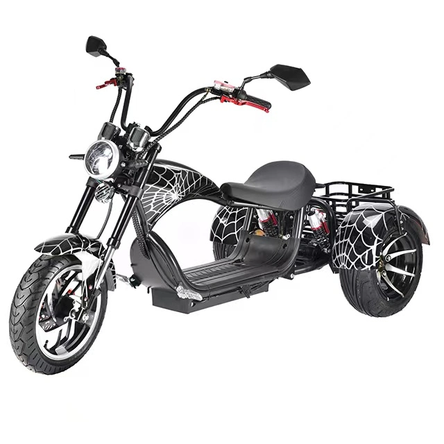 Three Wheels Big Tire Trike Adult Tricycle Citycoco 3 Wheel Electric Scooter