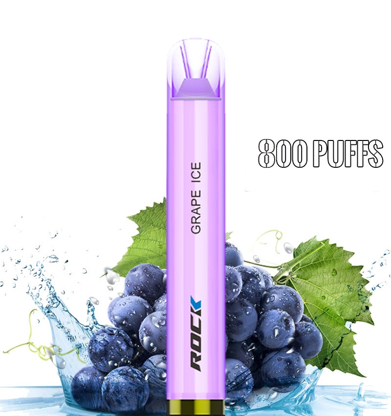 Ready to Ship Vaporizer Electric Smoking Pipe Disposable/Chargeable Vape Electronic Cigarette