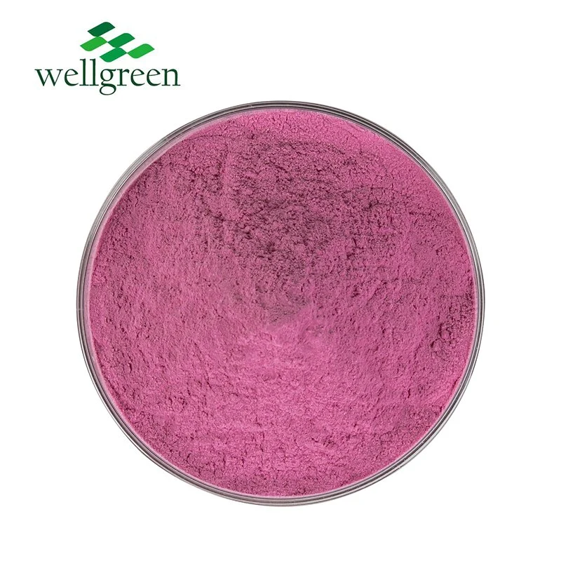 100% Natural Organic Freeze Dried Red Pitaya Dragon Fruit Powder