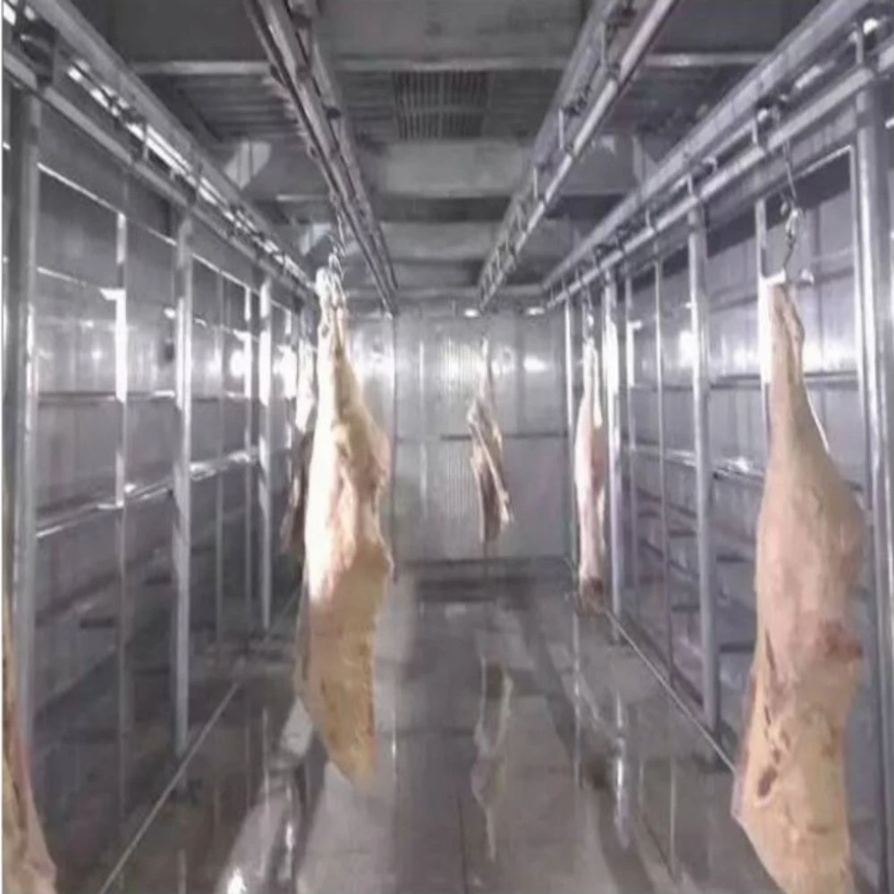 Carne de pollo comercial Equipo de descongelación de carne para planta procesadora de carne