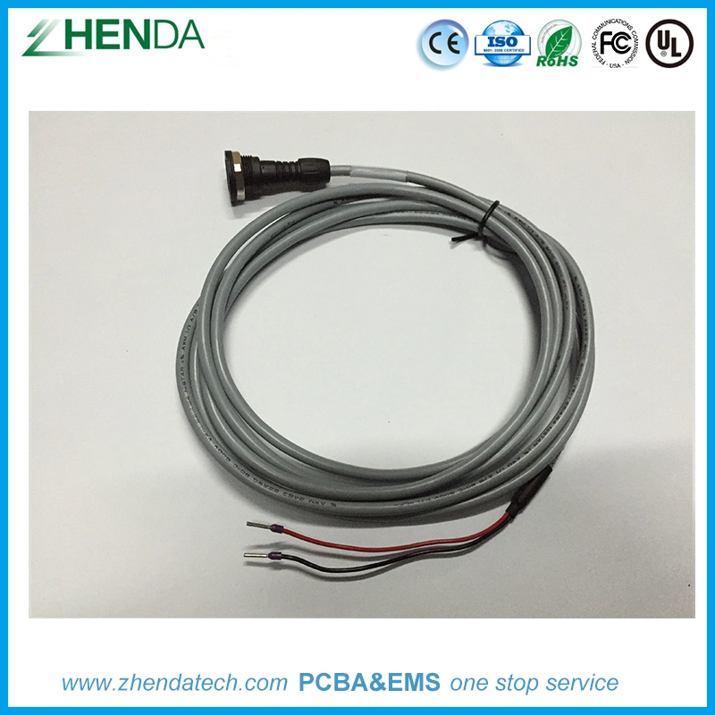 OEM ODM RoHS Compliant Professional Ribbon Wire Harness