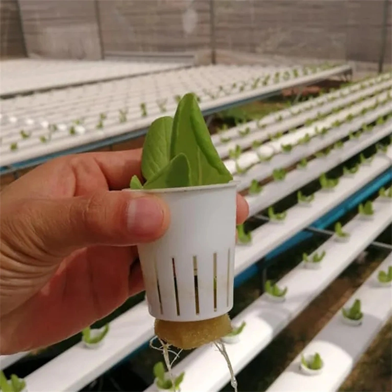 Sistema de cubeta hidropónica holandés Canal PVC sistemas de cultivo de NFT hidropónica