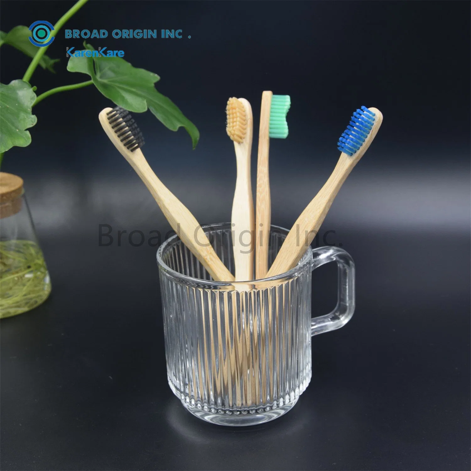 Cepillo de Dientes de bambú natural orgánico sin BPA personalizado de bambú suave cepillo de dientes