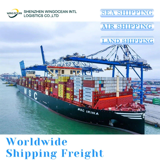 Excellent China Freight Forwarder Shipping Agent for USA/ Canada/ Europe Sea Shipment