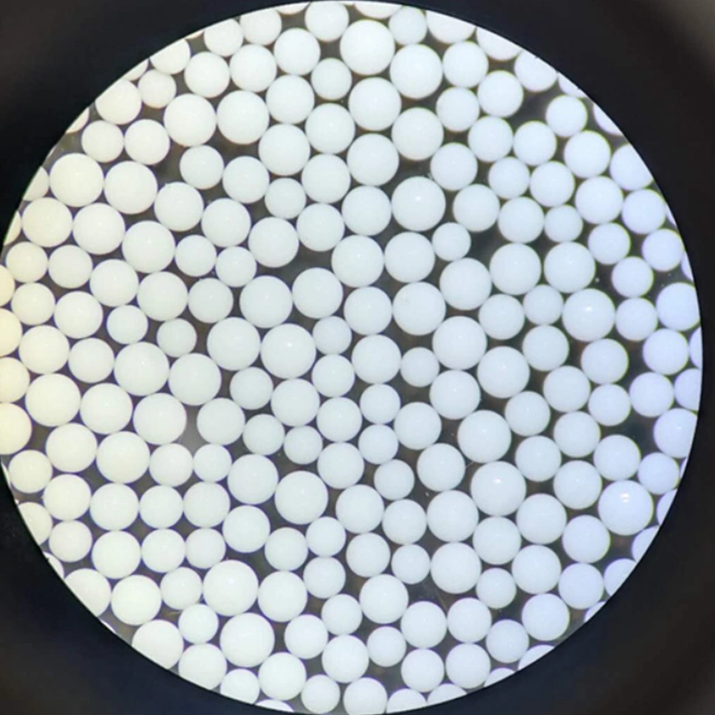 Macroporous Adsorption Resin for Stevia Extract Separation and Purification