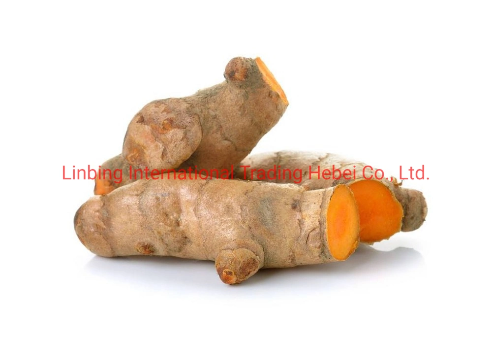 Hot Sale Factory Price Turmeric Root Extract Powder 10% - 95% Curcumin