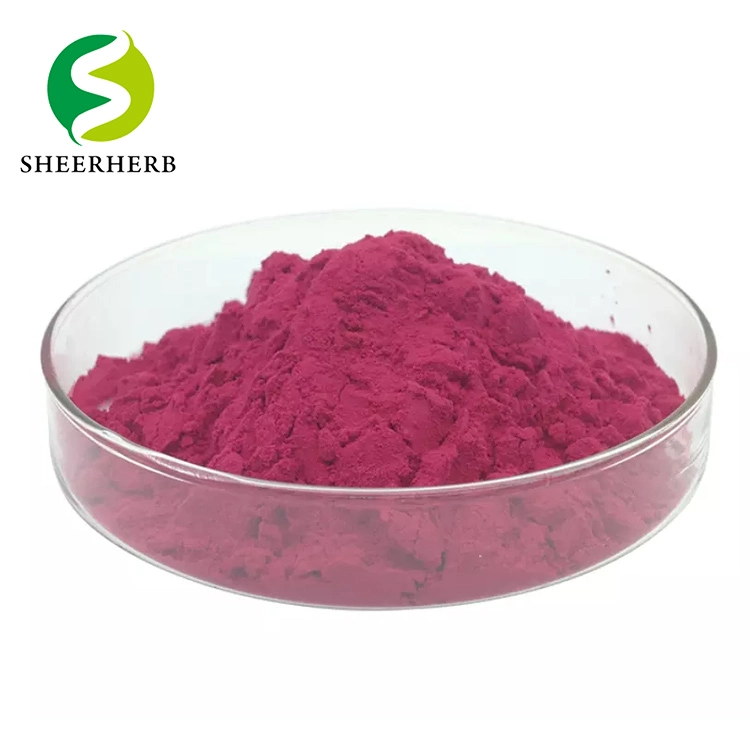 Health Food Ingredient Red Beet Root Extract Instant Drink Powder Beetroot