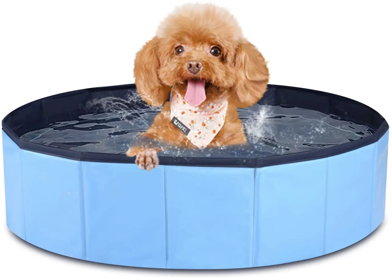 En PVC de haute qualité résistant aux rayures Chien de compagnie Piscine portable