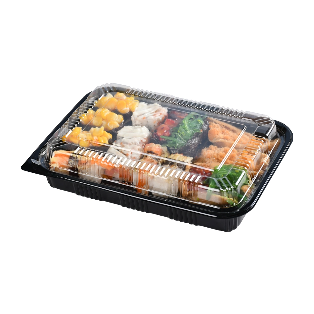 Caja rectangular de plástico para llevar