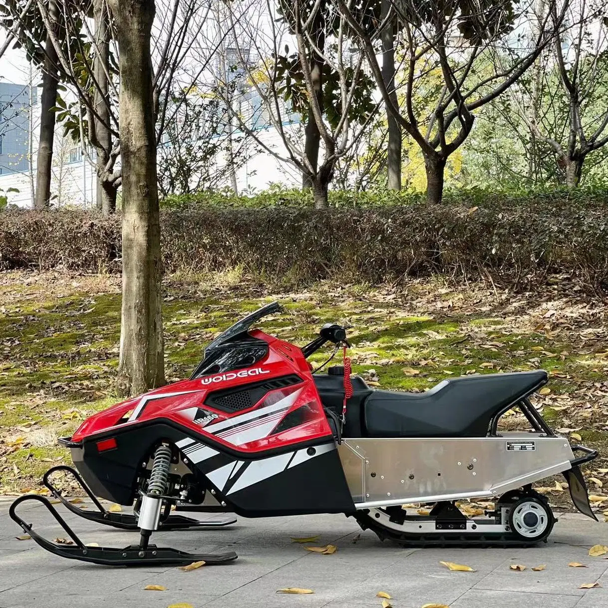 200cc 250cc 300cc Snowmobile pour adultes