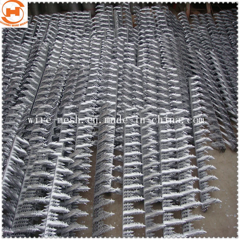 Anti Climb Spike/Security Wall Spike/Razor Barbed Wire /Anti-Climb Wall Spike