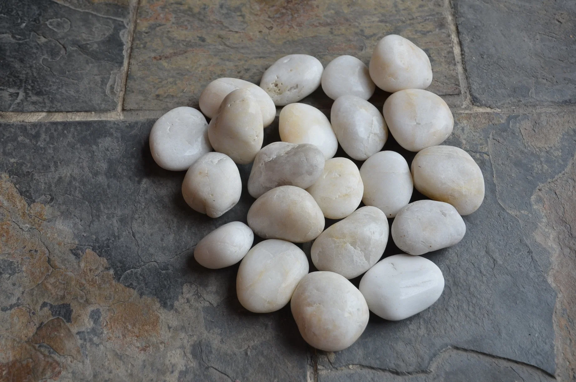 Commercial Use Natural Oval White Bathroom Tile Pebble Stones