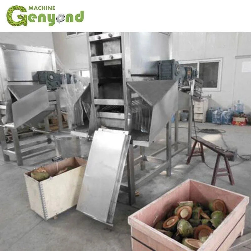 Automatic Aseptic Plastic Bag Coconut Milk Packing Machine for Milk Processing Line