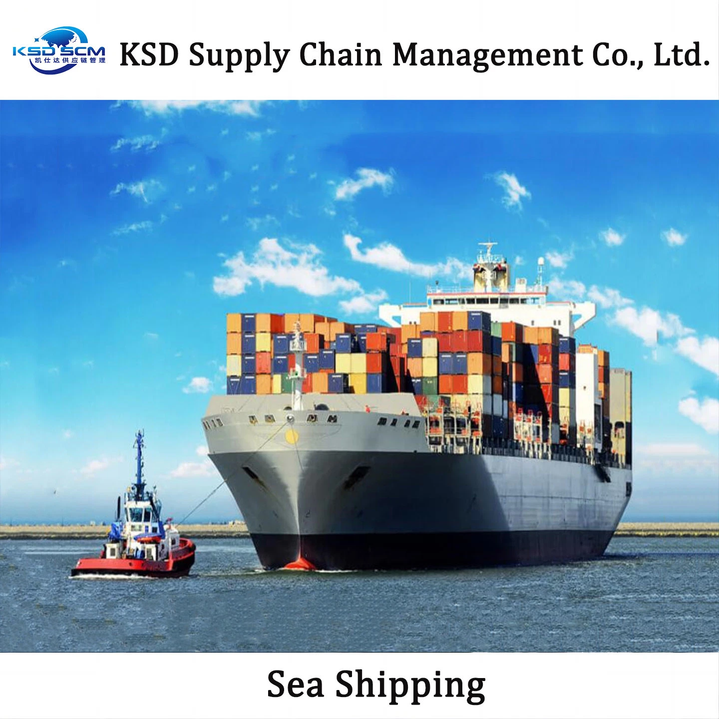 China Freight Forwarder to Middle East Market by Sea From All China Ports Sea Shipping with Good Price