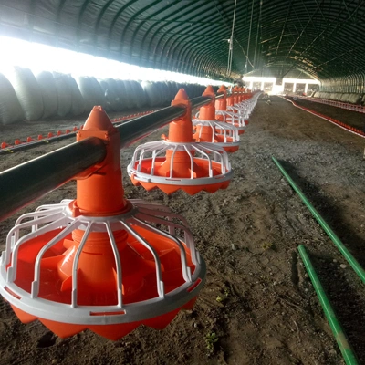 Aves de corral automáticas Equipo agrícola sistema de alimentación de la bandeja del alimentador de pollo