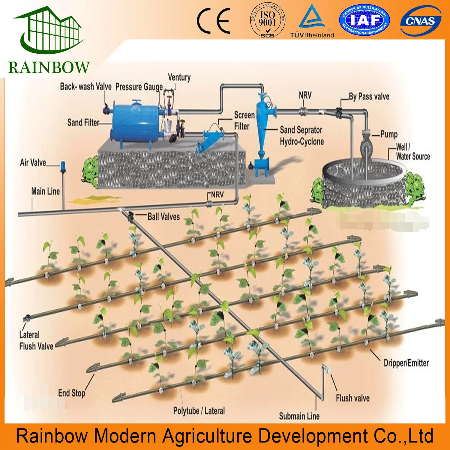 Multi-Span Film Greenhouse with Irrigation System and Intelligent Control System