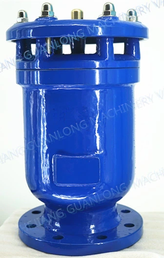 Combined Type Double Orifice Vacuum Breaker Air Release Anti Vacuum Valve (FGP4X)