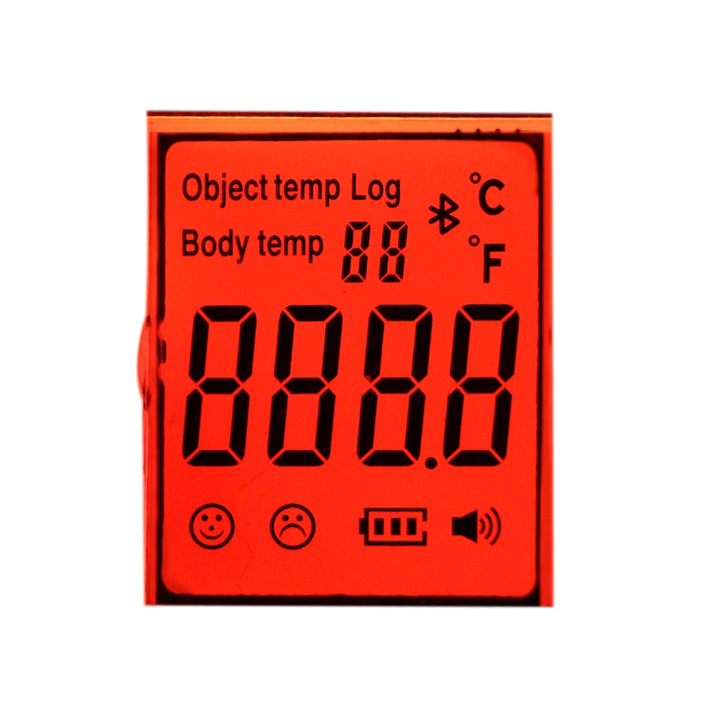 Fast Delivery Mono Segment Temperature Measuring LCD Display