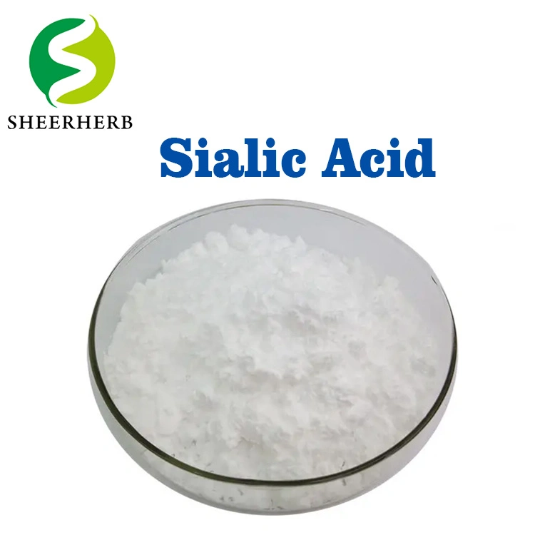 Sheerherb Top Quality N-Acetylneuraminic Acid Sialic Acid