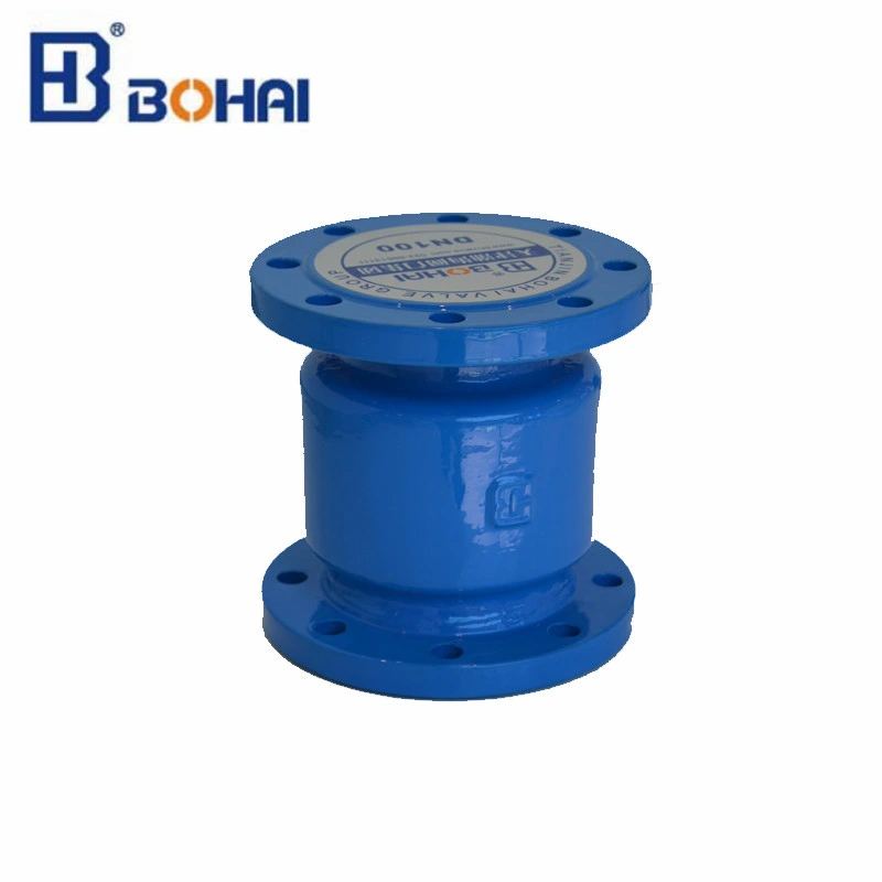 High Standard Flanged Silencing Check Valve DN80 Made in China