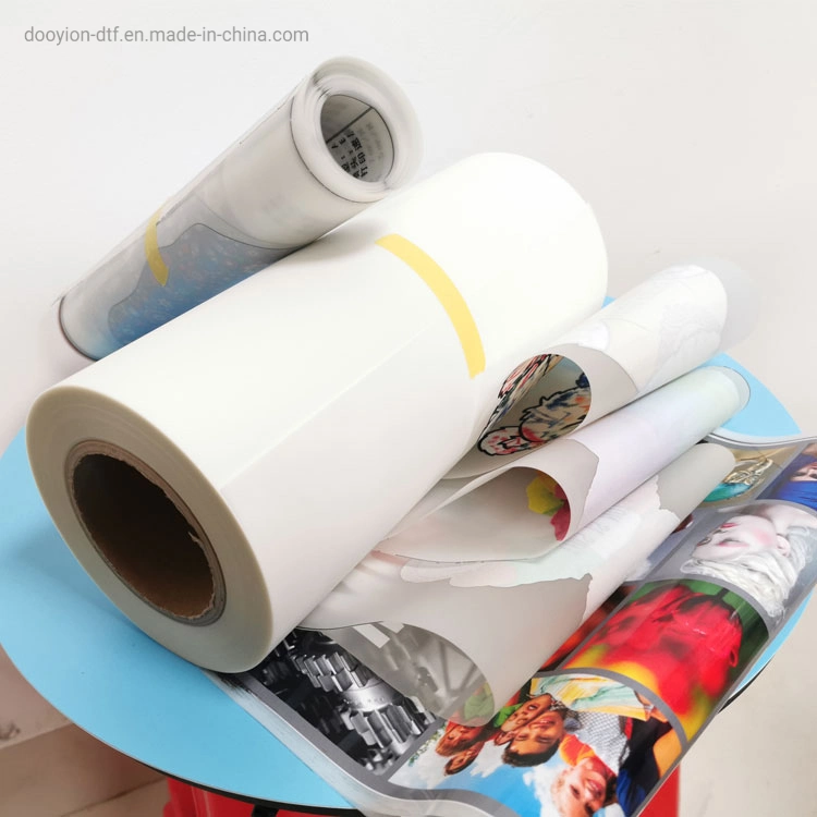 A2 60cmx100m A3 33 30cmx100m Size Pet Film for Dtf Print