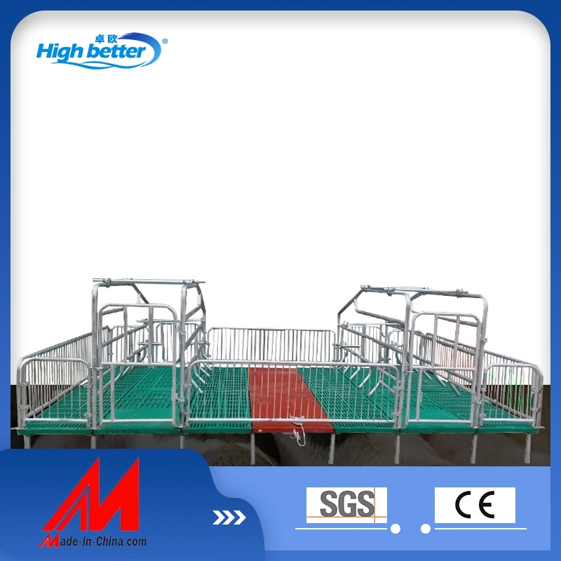 High quality/High cost performance  Hot Galvanized Pig Farrowing Crates /Sows Farrowing Bed /Sows Farming Equipment