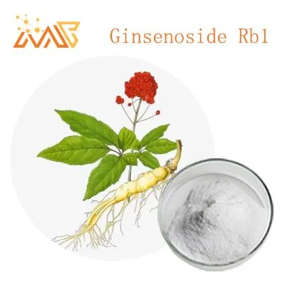 Supply Herbal Food Supplements CAS 41753-43-9 Ginsenoside Rb1