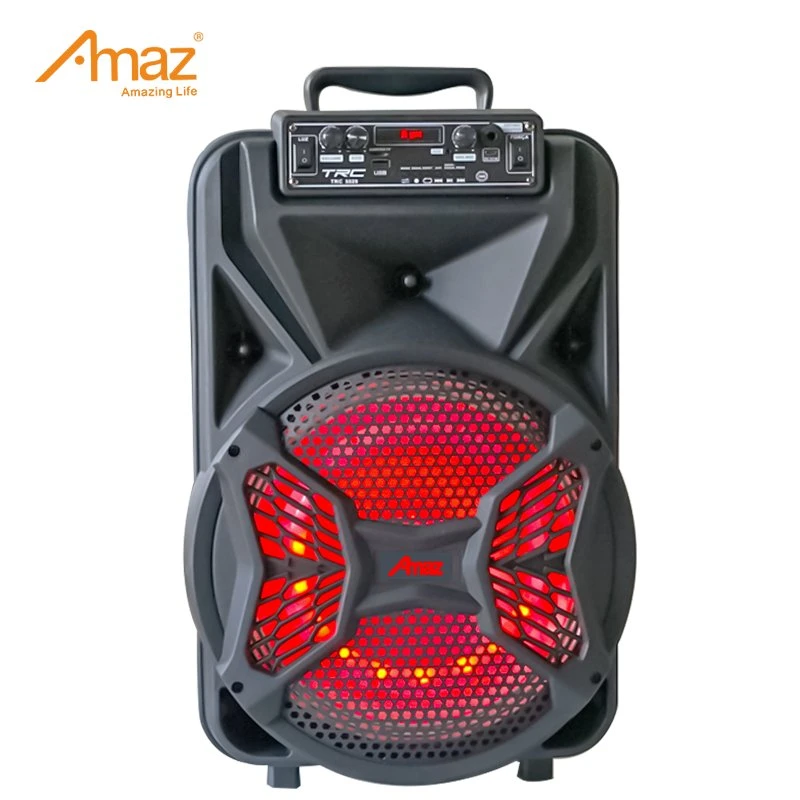 Bluetooth PA Speaker System with Wireless Microphone12 Inch Highet Portable Outdoor Karaoke Speaker