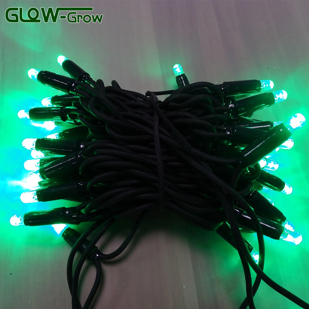0.5mm2 Black Rubber Wire Green LED String Light Party Decoration with CE Approval