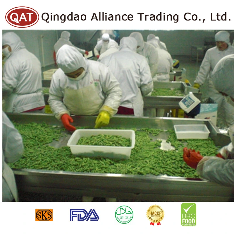 Top Quality Frozen IQF Cut Green Beans with Factory Price EU Standard in Bulk Retail Packing