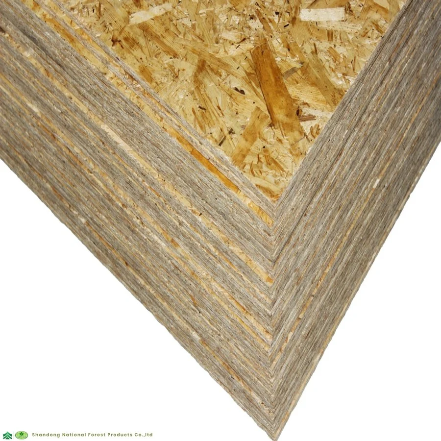 OSB2 OSB 3 9mm 11mm 12mm Strukturteilchen-Board WBP Plain Raw Pine Pappel Wasserdicht MR MDI Kleber OSB für Möbel